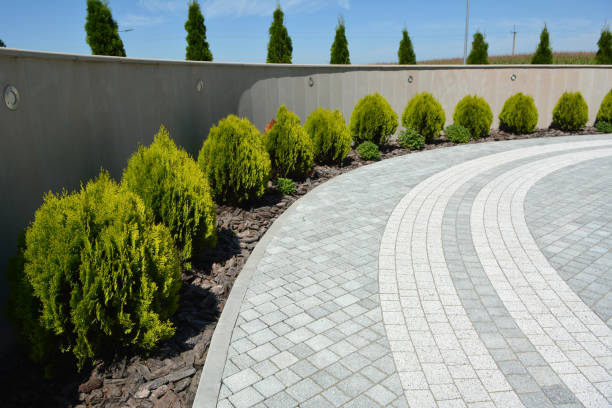 Best Local Driveway Pavers  in Woodlake, VA